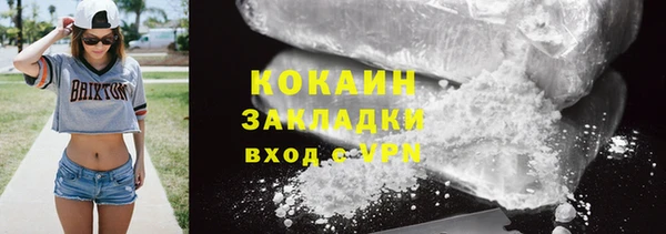 ПСИЛОЦИБИНОВЫЕ ГРИБЫ Осинники