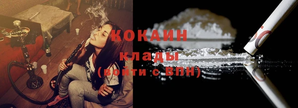 ПСИЛОЦИБИНОВЫЕ ГРИБЫ Осинники