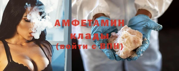 дурь Няндома