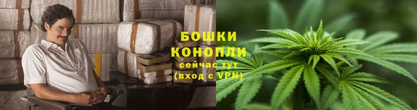 ПСИЛОЦИБИНОВЫЕ ГРИБЫ Осинники