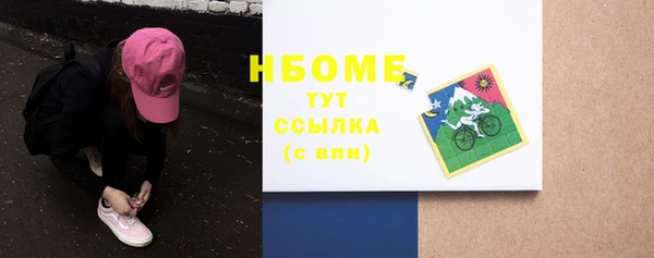ПСИЛОЦИБИНОВЫЕ ГРИБЫ Осинники