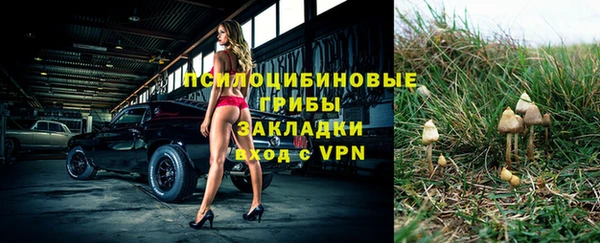 ПСИЛОЦИБИНОВЫЕ ГРИБЫ Осинники
