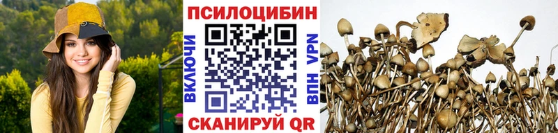 Псилоцибиновые грибы Psilocybe  Ясногорск 
